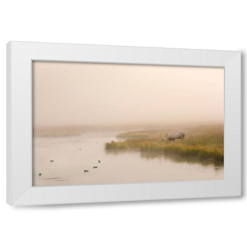 Breakfast in Paridise White Modern Wood Framed Art Print by Dawson, Robert