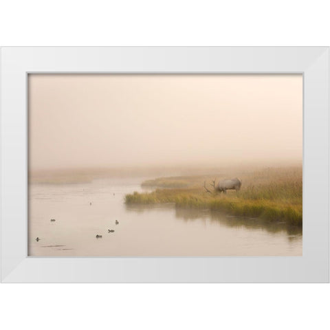 Breakfast in Paridise White Modern Wood Framed Art Print by Dawson, Robert