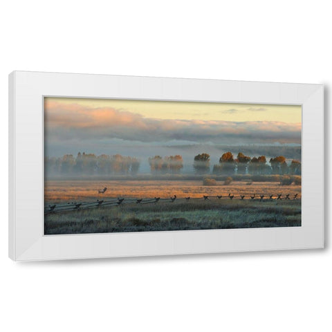 In the Morning Mist White Modern Wood Framed Art Print by Dawson, Robert