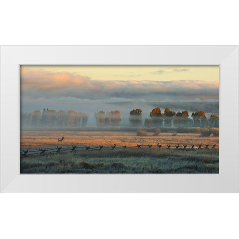In the Morning Mist White Modern Wood Framed Art Print by Dawson, Robert