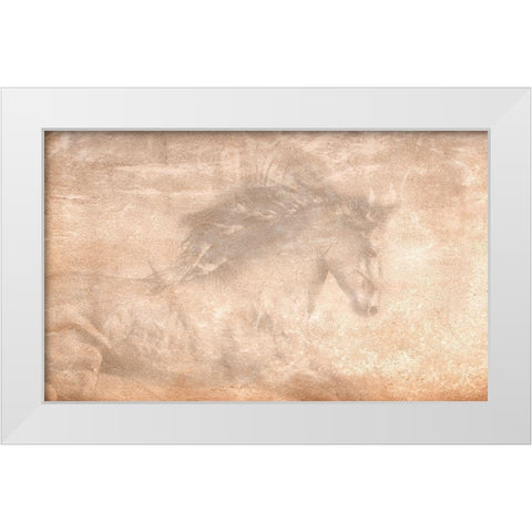The Stallion White Modern Wood Framed Art Print by Dawson, Robert
