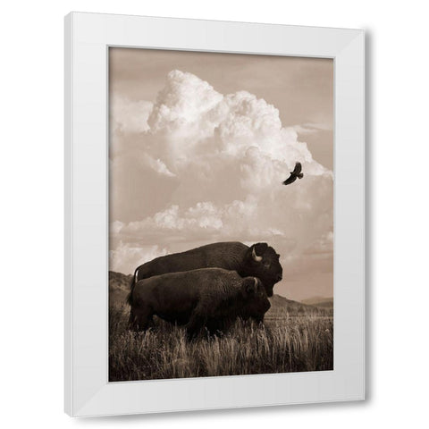 The American Buffalo White Modern Wood Framed Art Print by Dawson, Robert