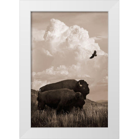 The American Buffalo White Modern Wood Framed Art Print by Dawson, Robert