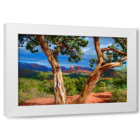 Sedona Red III White Modern Wood Framed Art Print by Bolokofsky, Ronald