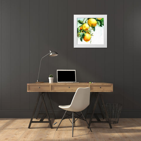 Lemons White Modern Wood Framed Art Print by Bolokofsky, Ronald