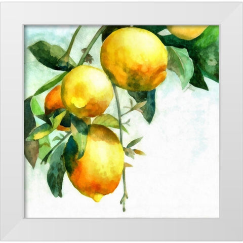 Lemons White Modern Wood Framed Art Print by Bolokofsky, Ronald