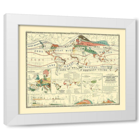 World Cultivation Grains - Johnston White Modern Wood Framed Art Print by Johnston
