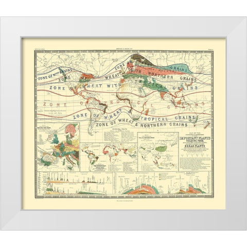 World Cultivation Grains - Johnston White Modern Wood Framed Art Print by Johnston