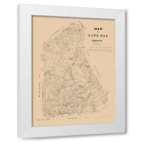 Live Oak County Texas - Walsh 1879 White Modern Wood Framed Art Print by Walsh