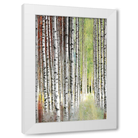 Abstract Birch II White Modern Wood Framed Art Print by Brey