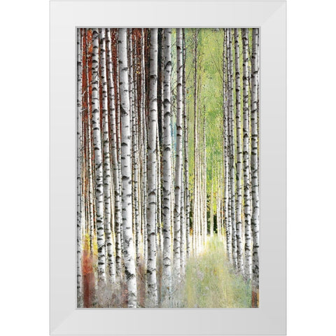 Abstract Birch II White Modern Wood Framed Art Print by Brey