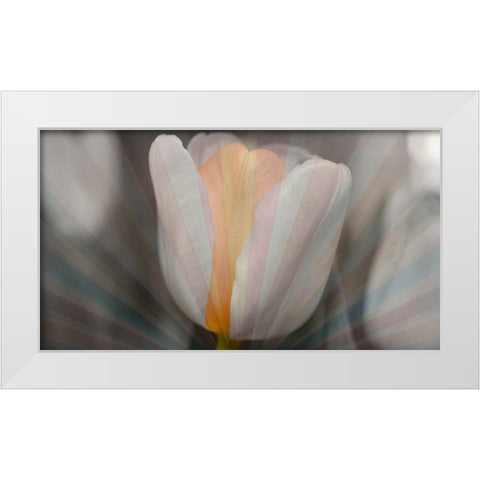 Tulip Surprise White Modern Wood Framed Art Print by Bartola