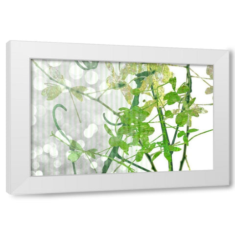 Branch In Green I White Modern Wood Framed Art Print by Franklin