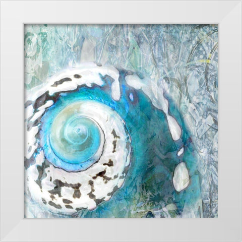 Abstract Shell White Modern Wood Framed Art Print by Franklin