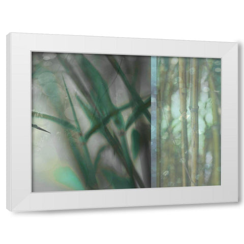 Morning Bamboo I White Modern Wood Framed Art Print by Franklin