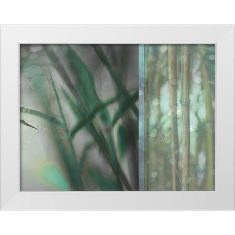 Morning Bamboo I White Modern Wood Framed Art Print by Franklin