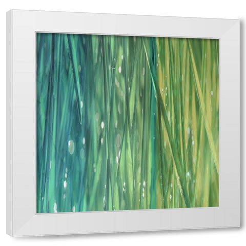 Natural Dance I White Modern Wood Framed Art Print by Franklin