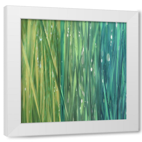 Natural Dance II White Modern Wood Framed Art Print by Franklin