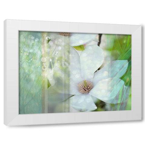 Magnolia Mist White Modern Wood Framed Art Print by Franklin