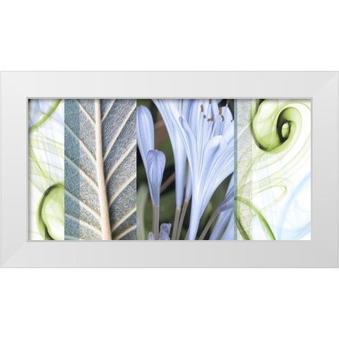 Dreamy White Modern Wood Framed Art Print by Franklin