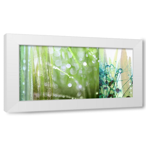 Morning Dew White Modern Wood Framed Art Print by Franklin