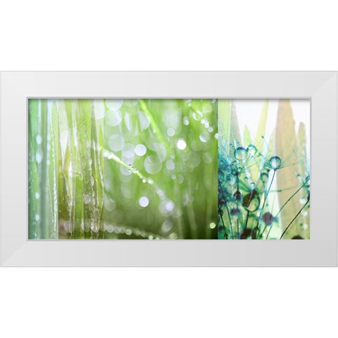 Morning Dew White Modern Wood Framed Art Print by Franklin