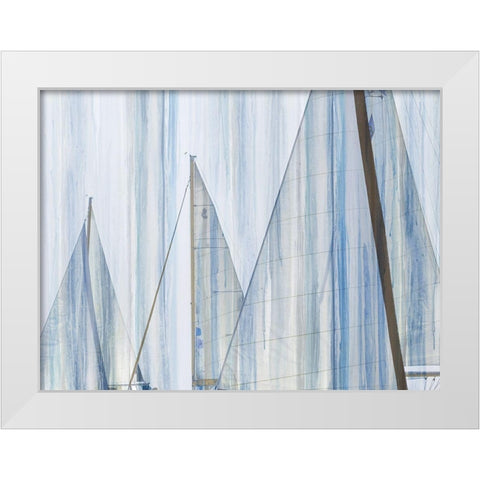 Sails I White Modern Wood Framed Art Print by Franklin