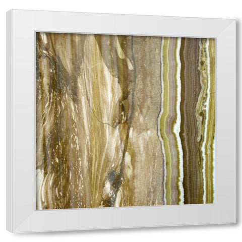 Niagra Sage I White Modern Wood Framed Art Print by Franklin