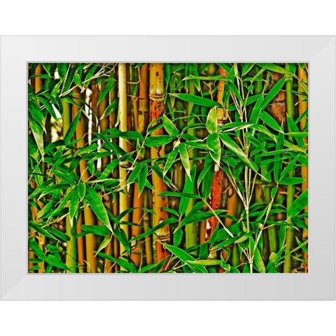 Bamboo in HD I White Modern Wood Framed Art Print by Simons