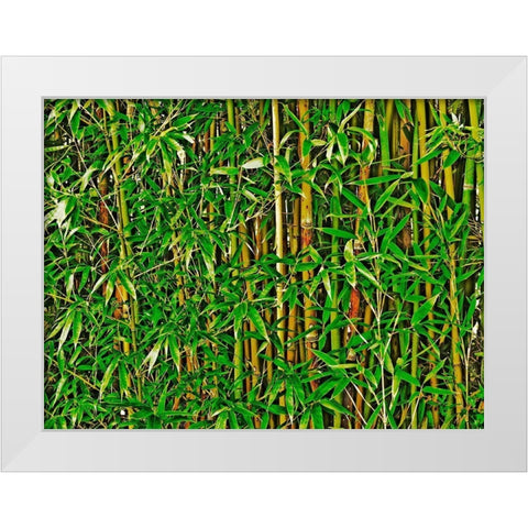 Bamboo in HD II White Modern Wood Framed Art Print by Simons