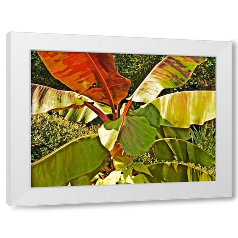 Banana Tree White Modern Wood Framed Art Print by Simons