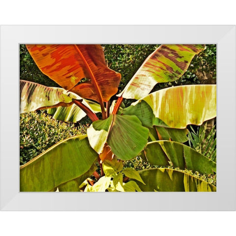 Banana Tree White Modern Wood Framed Art Print by Simons