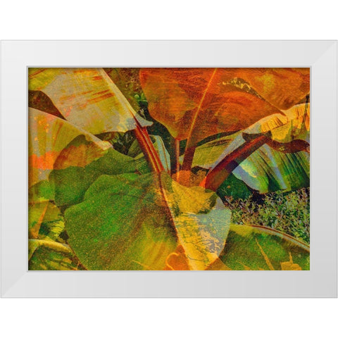 Banana I White Modern Wood Framed Art Print by Simons