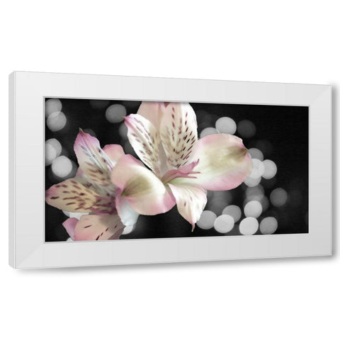 Bubbly in Pink White Modern Wood Framed Art Print by Simons