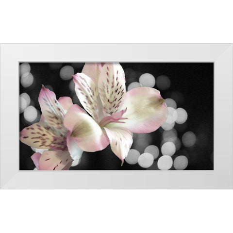 Bubbly in Pink White Modern Wood Framed Art Print by Simons