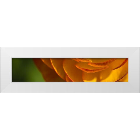 Flower Slice Orange III White Modern Wood Framed Art Print by Simons