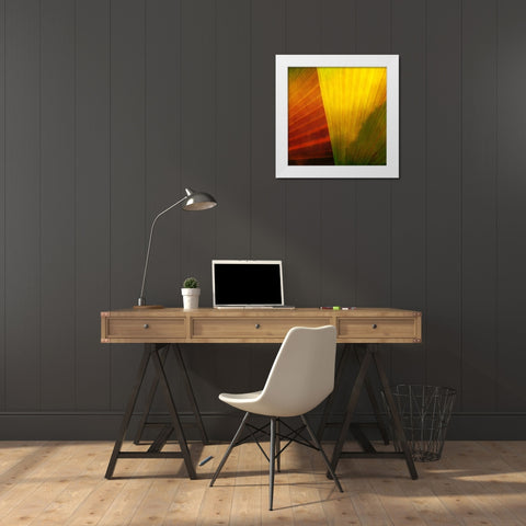 Fondly I White Modern Wood Framed Art Print by Simons