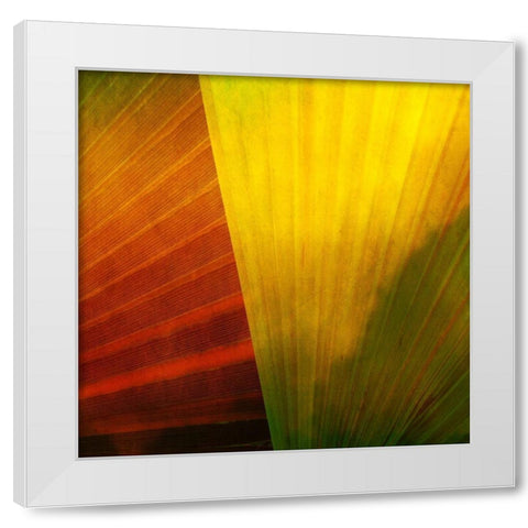 Fondly I White Modern Wood Framed Art Print by Simons