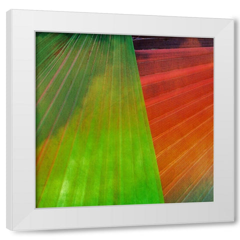 Fondly II White Modern Wood Framed Art Print by Simons