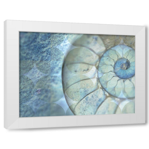 La Conha I White Modern Wood Framed Art Print by Simons