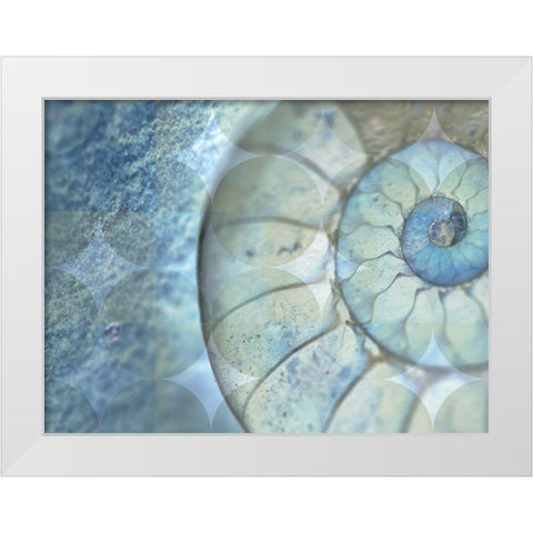 La Conha I White Modern Wood Framed Art Print by Simons