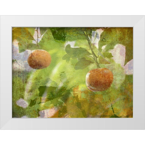 Mandarin White Modern Wood Framed Art Print by Simons