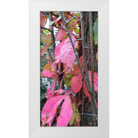 Blending Bloom 3 White Modern Wood Framed Art Print by Phillip, Jamie