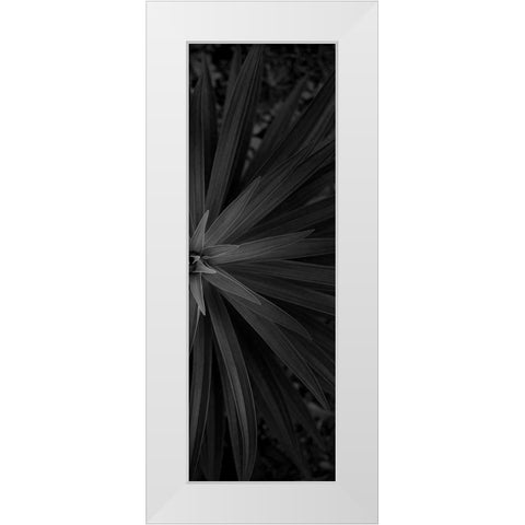 Lush 2 White Modern Wood Framed Art Print by Phillip, Jamie
