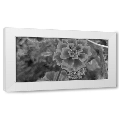 Flow 2 White Modern Wood Framed Art Print by Phillip, Jamie