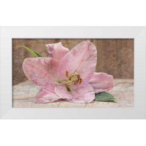 Fondly White Modern Wood Framed Art Print by Phillip, Jamie