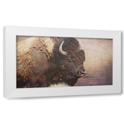 Wild Bison White Modern Wood Framed Art Print by Phillip, Jamie