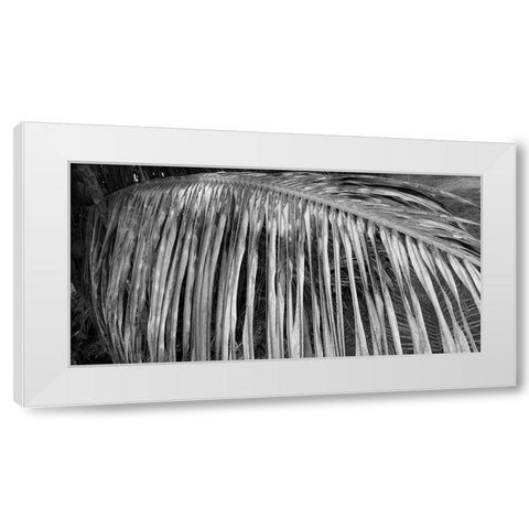 Palm Branch 2 White Modern Wood Framed Art Print by Phillip, Jamie