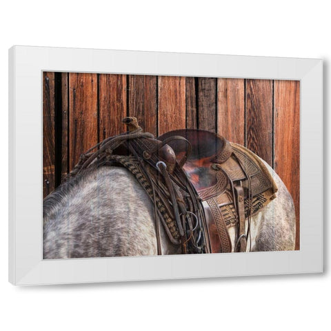 Horse On The Ranch White Modern Wood Framed Art Print by Phillip, Jamie