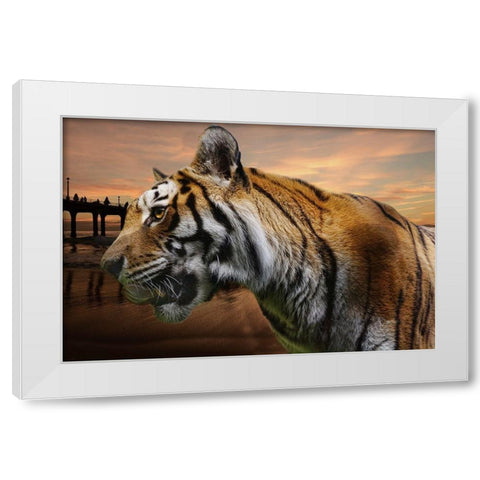 Tiger Bay White Modern Wood Framed Art Print by Phillip, Jamie